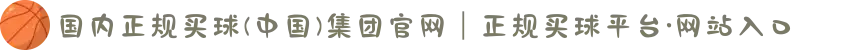 国内正规买球(中国)集团官网｜正规买球平台·网站入口
